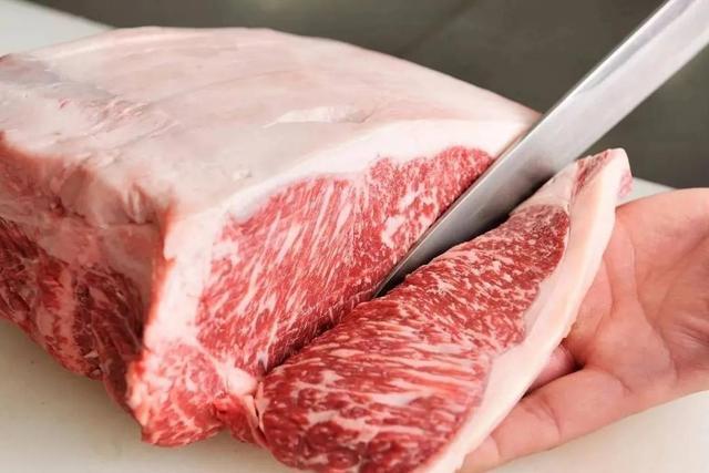 会周五开展 更多美食 更多新品PG麻将胡了免费模拟器淄博食博(图5)