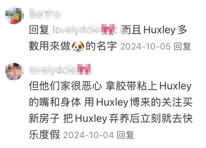 孩钱赚够后就“退货”背后细节让人无语PG麻将胡了试玩网红夫妇领养中国男(图2)